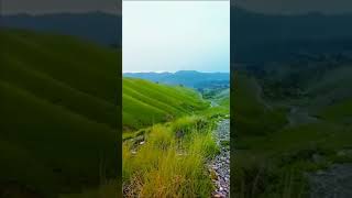 Lets Back To Summer In Wazirestan Baddar Valley