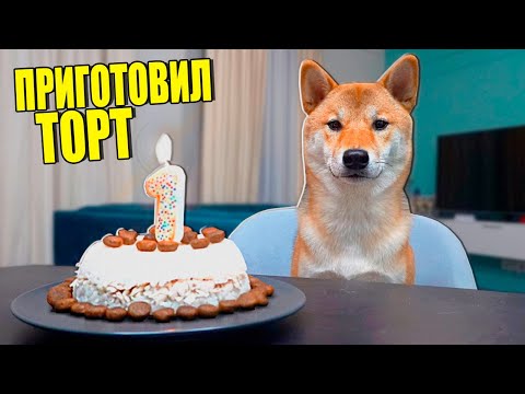 Видео: ВПЕРВЫЕ ПРИГОТОВИЛ ТОРТ МОЕЙ СОБАКЕ!