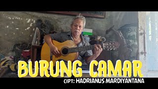 Music||BURUNG CAMAR - Cipt: Hadrianus Mardiyantana @pelikanchannelpakmardi