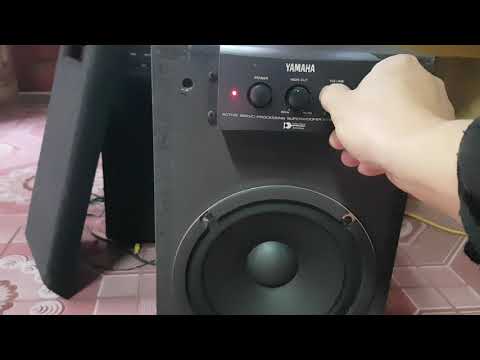 Sub điện Yamaha SW80