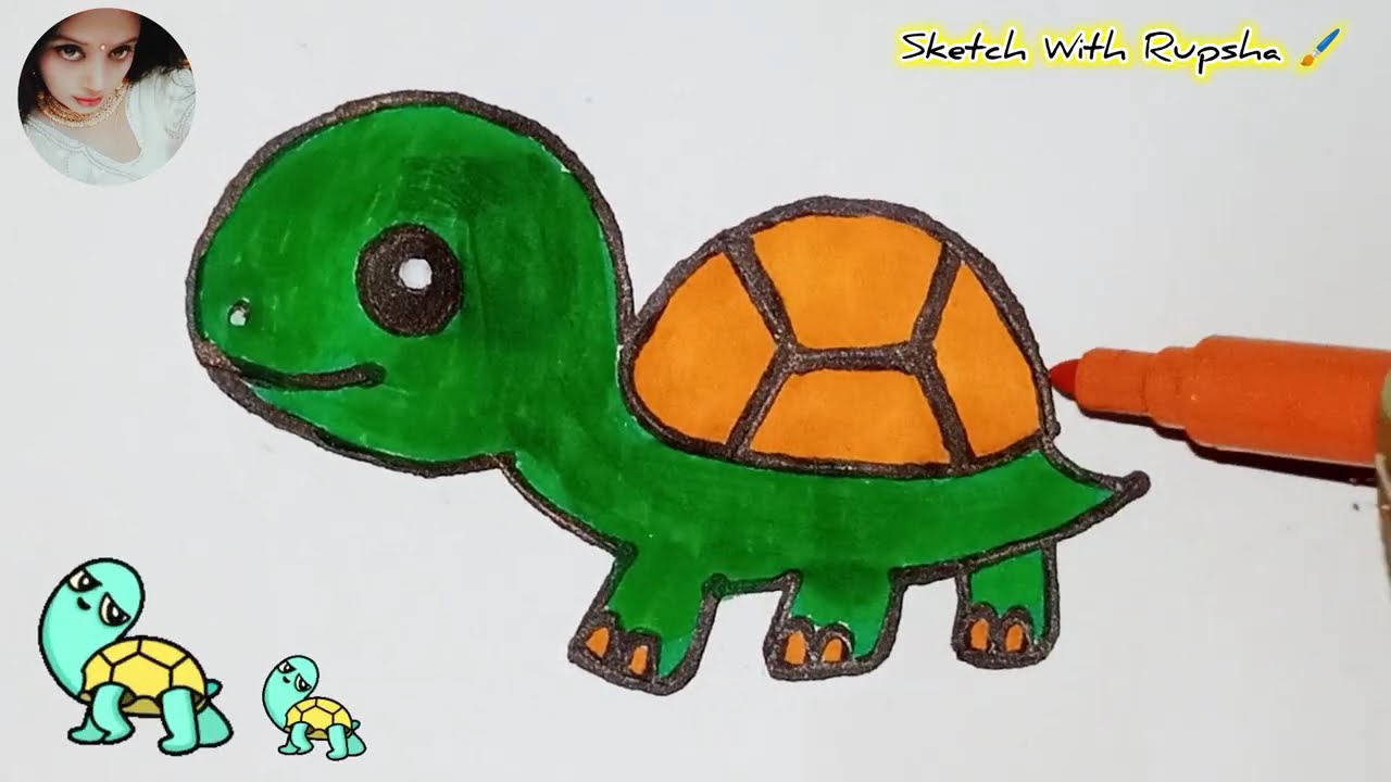 How to draw a Tortoise Step by Step / Turtle Drawing / How to Draw a Turtle 🐢