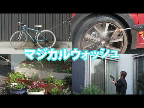 動画