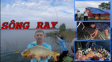 Câu Thiên Nhiên | Cắm Trại Sông Ray