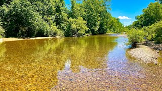 The Best Tennessee Creek Fishing 10 Hours