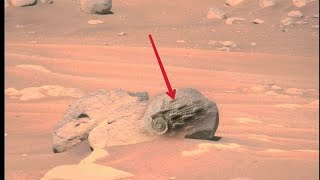 Mars perseverance Rover Captured a New 4k Stunning Video Footage of Mars Surface||