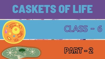 Class - 6 | B.S | Caskets Of Life | Part - 2 | Kerala Syllabus