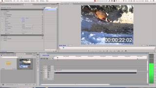 Premier Time- Code burn-in tutorial
