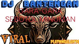 DJ BANTENGAN - GARA GARA SEBOTOL MINUMAN || Suport By Bantengan Kebonsari