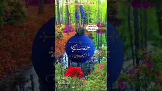 جمعة مباركة 🌷 دعاء الجمعة 🌷حالات واتس اب جمعة طيبة🌷 ستوريات دينية قصيرة 🌷 2022