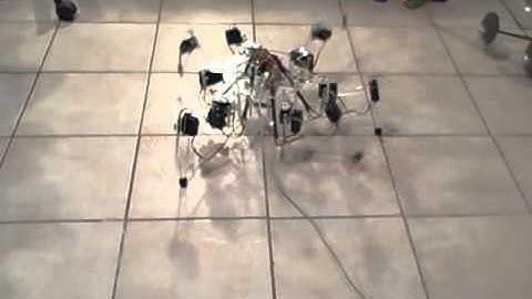 Hexapod Robot First Steps