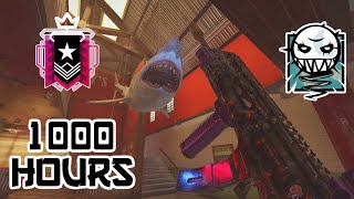 what 1000 hours on ela looks like
