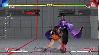 SFVAE Sakura mixup (maybe)