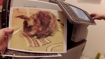 RICOH USB PRINTING SAVIN LANIER INFOTEC GESTETNER