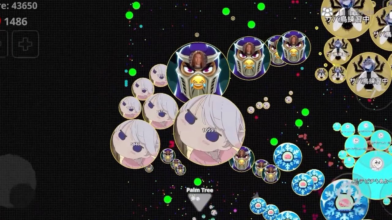 【Agar.io】 How to use the Mastersplit in Splitrun