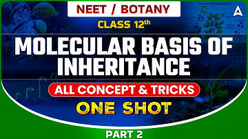 MOLECULAR BASIS OF INHERITANCE CLASS 12 | NEET 2024 | ALL CONCEPT & TRICKS | BOTANY SANKALP BHARAT