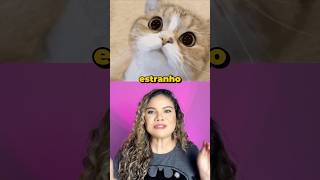 NOME ESTRANHO de GATO