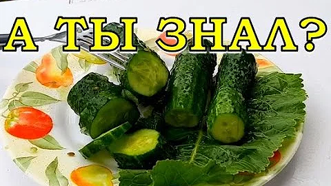 ГОРЬКИЕ ОГУРЦЫ: почему и что делать?