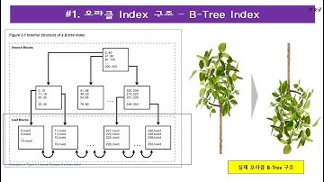 #2.[Oracle - Index]  B- Tree 인덱스에 대한 이해, 왜 Balanced Tree 인가?
