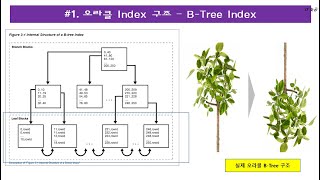 #2.[Oracle - Index]  B- Tree 인덱스에 대한 이해, 왜 Balanced Tree 인가?