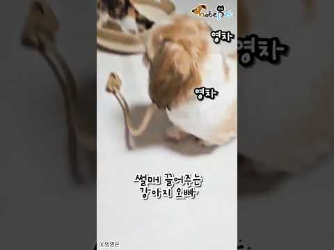 Loading video