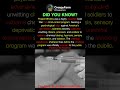 Project MKUltra: The CIA’s Secret Mind Control Program #shorts