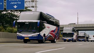 Sleeper Bis Pertama di Bengkulu - Sumatra PO Putra rafflesia #sleeperbus #reviewbus