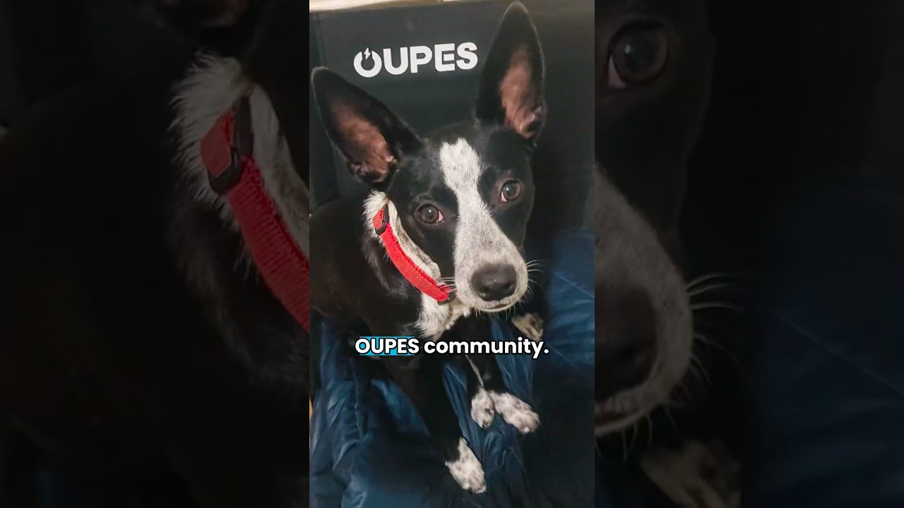 Thanks for an Amazing Year🙏❤️✨#oupes #powerstation #newyear