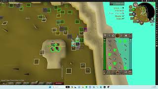 Runner Multikill Quick Guide (Barbarian Assault)