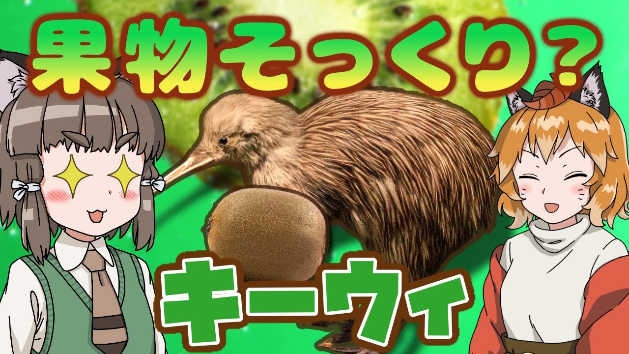 【ゆっくり解説】キウイそっくり？愛され鳥キーウィ【へんないきもの#55】