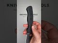 Spyderco Paramilitary 2 Lightweight Black C81PBBK2 Black FRN, Black DLC CTS BD1N, pocket knife