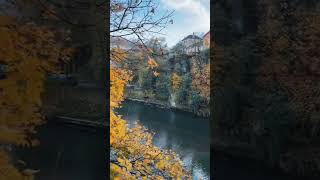 Huzur #gezivlog #nazımhikmet