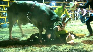 LE ENTERRÓ EL CUERNO ||| LOS TOROS INCREIBLES EN ATOTONILCO MORELOS