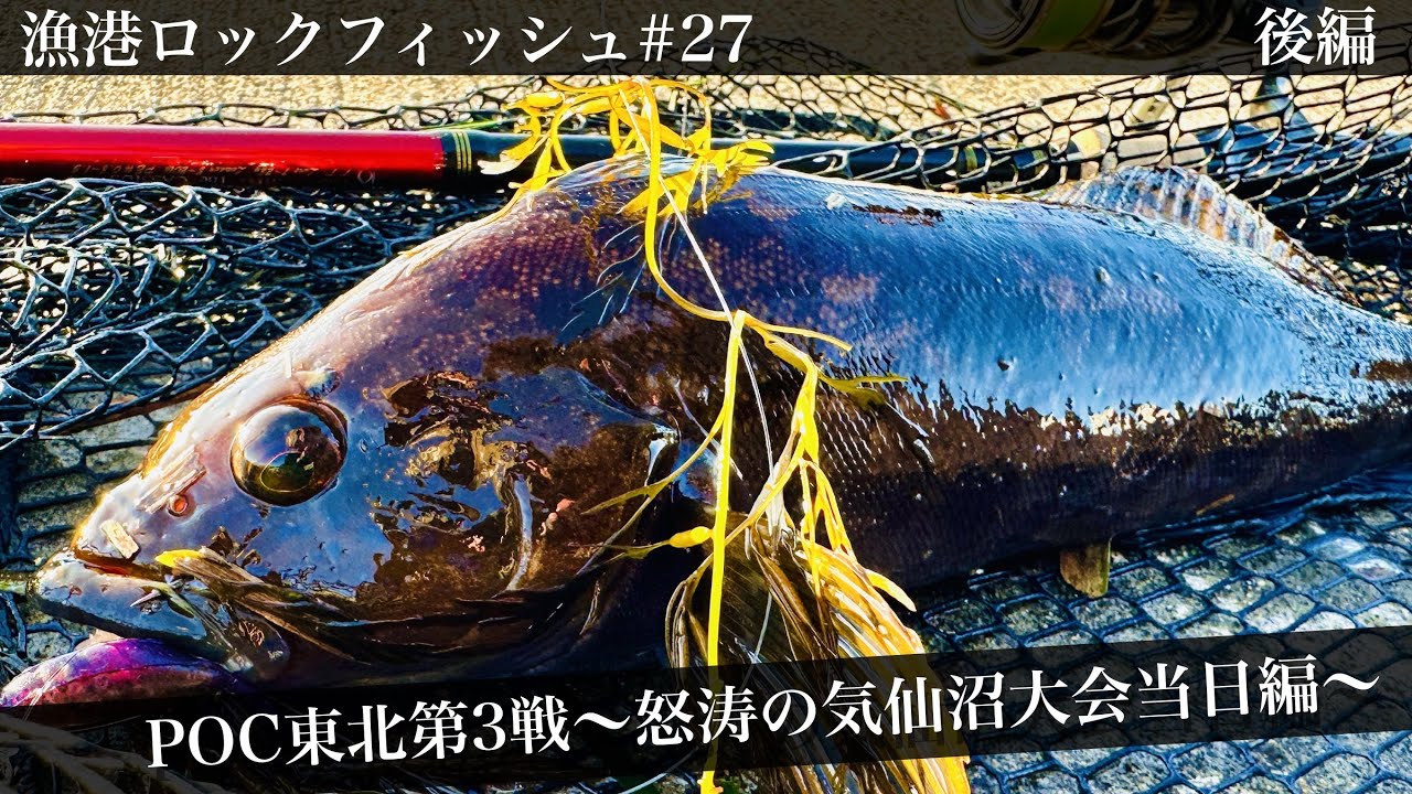 【漁港ロックフィッシュ#27】POC東北第3戦気仙沼〜大会当日編〜〔アイナメ〕〔気仙沼釣り〕