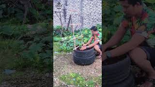 “Creative Small Yard Idea! Grow Cucumbers in Used Tires with Traditional Bamboo Trellises” #garden