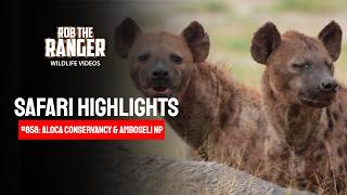 Safari Highlights #858: 23 &amp; 24 April 2026 | Praro Amboseli | Latest Sightings