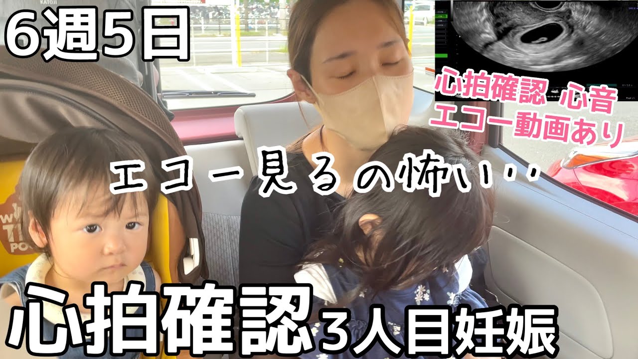 再診 不安でいっぱいの心拍確認 エコー動画心臓の音あり Youtube