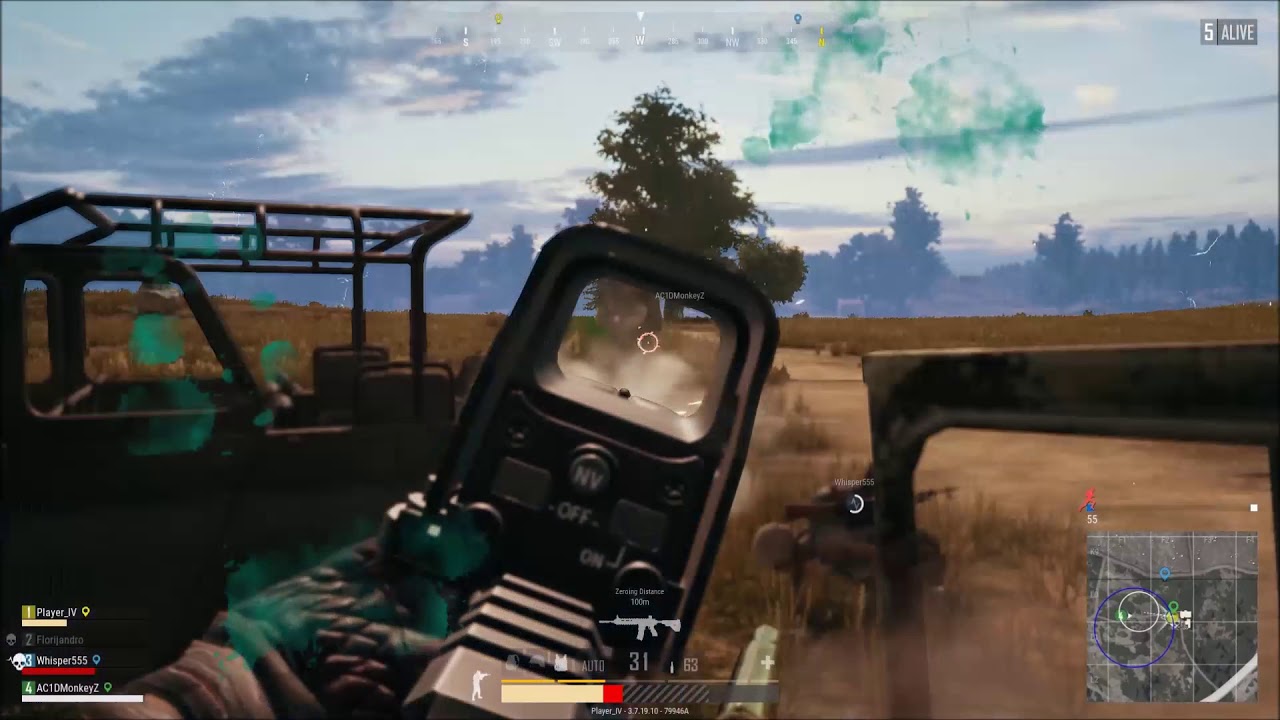 AC1DMonkeyZ Team Kill on Whisper