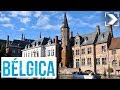 Españoles en el mundo: Bélgica (1/3) | RTVE