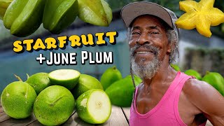 Is this the Most Refreshing Drink on EARTH?!
