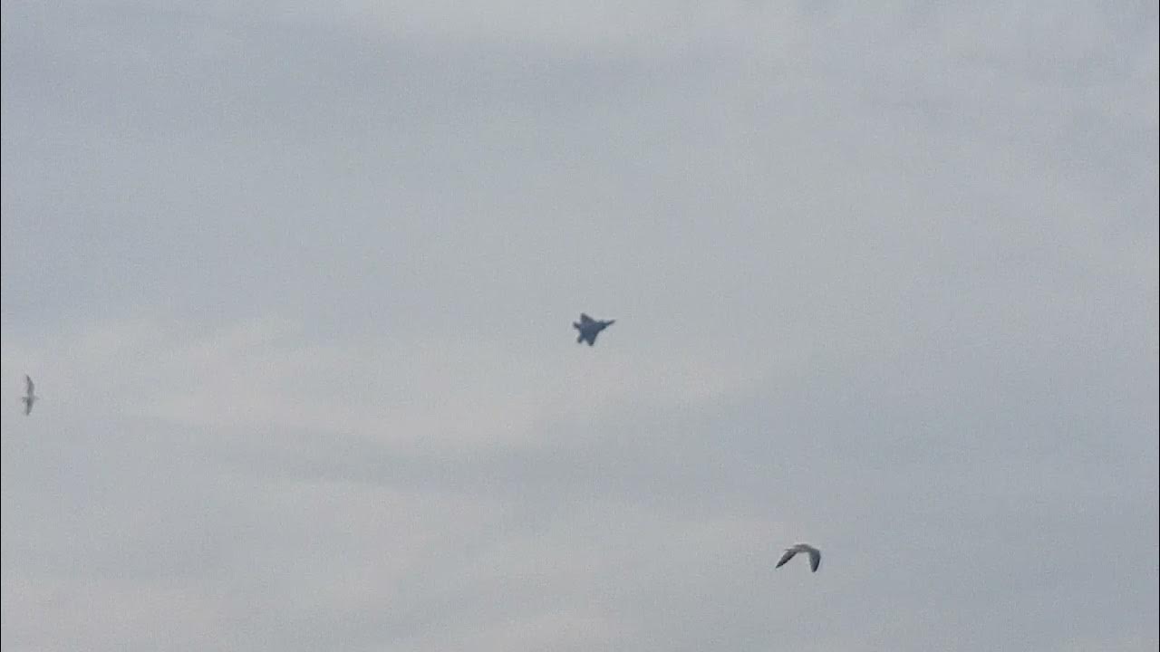 Ocean City Maryland Air Show 2021 F 22 Segment 2 YouTube ocean-city-maryland-air-show-2021-f-22-segment-2-youtube