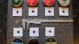 Daystate Huntsman Regal .177 - Pellet Test
