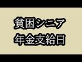 もう何も考えたくない。【貧困シニア】あきら75歳。シニアライフ　#年金 　 シニアVlog