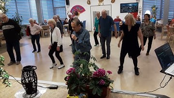 Deel-3) De" ZOETE-INVAL " SOOS, Een gezellige Line Dance Dansmiddag Vrijdag 5 December.2025.Utrecht