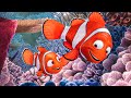 FINDING NEMO All Movie Clips (2003)