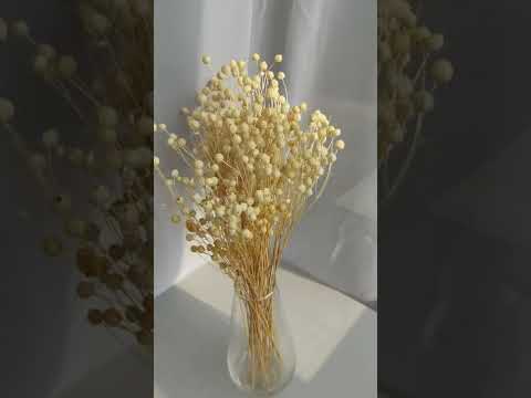 Сухоцветы для декора интерьера: лен