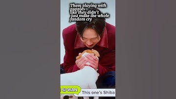 The SQUIDGAME 🦑 cast with puppies like they didn’t just make the whole fandom cry 😢 | #squidgame