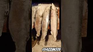 Как отличить муксуна, чира, омуля и пелядь друг от друга? Ловите гайд. #якутия #рыба #fish #рыбалка
