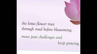 live like a lotus