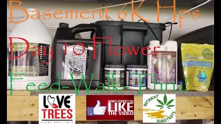Basement 6K, Day 10 Flower, Feed Walk-Thru Featuring Love Trees Nutrients!