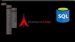 Black Arch Linux - How to use SQLCHECK & SQLDATA